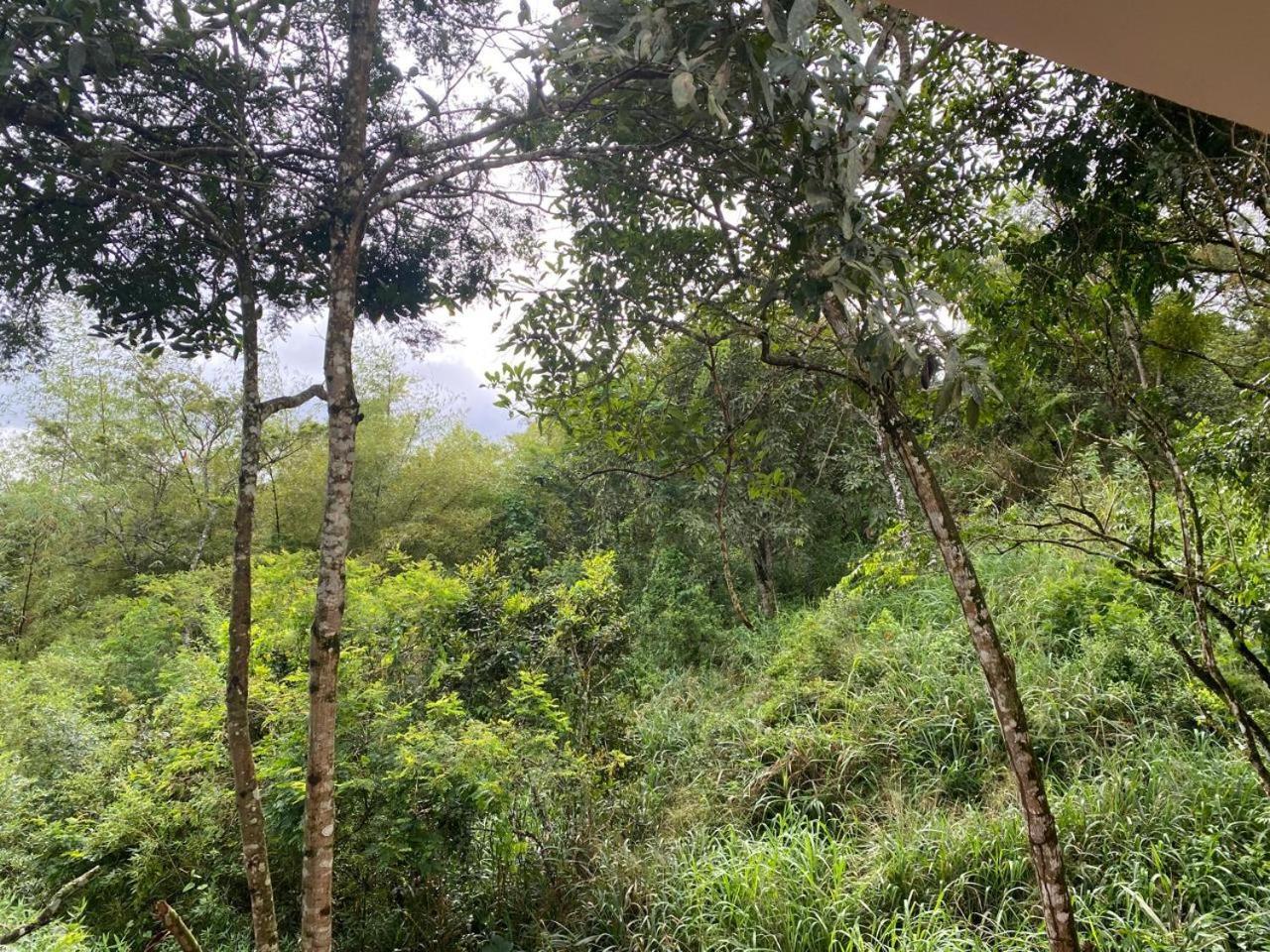 Flat Condominio Topo Da Montanha 507 Chã Grande Kültér fotó
